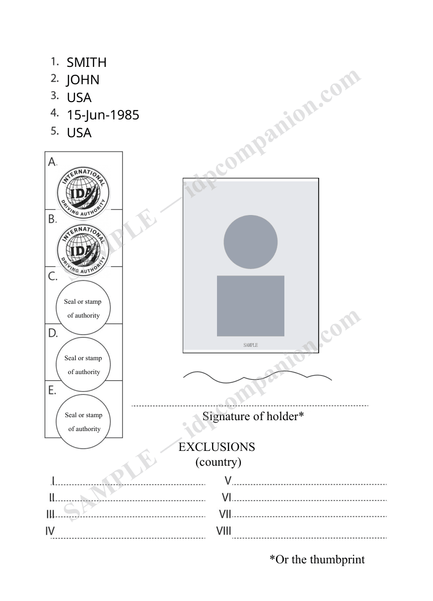 IDP Companion personal details page showing name fields, photo area, signature, and license category stamps A through E